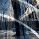 Image for article titled Shooting Challenge: Double Exposure, Gallery 2